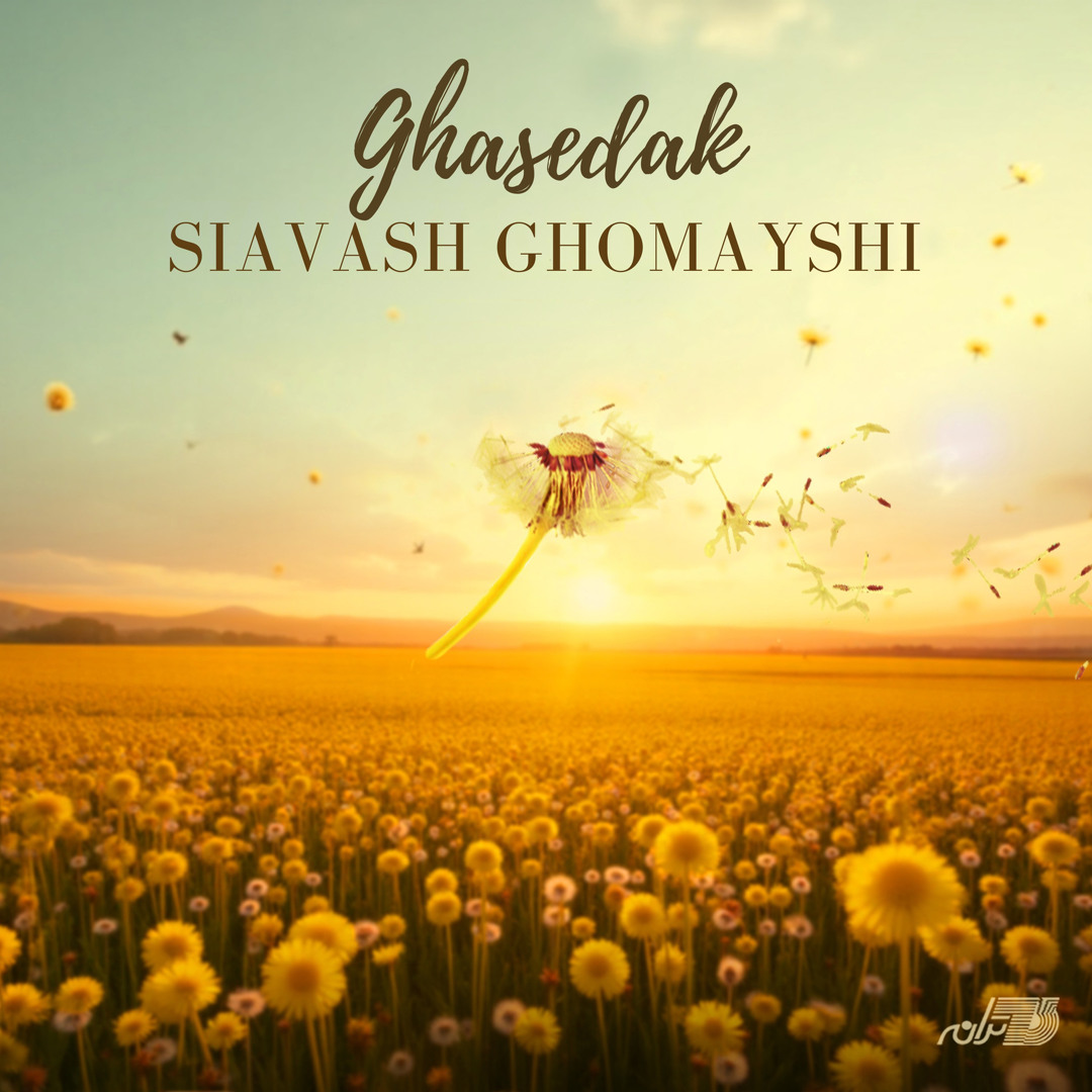 Siavash Ghomayshi - GHasedak